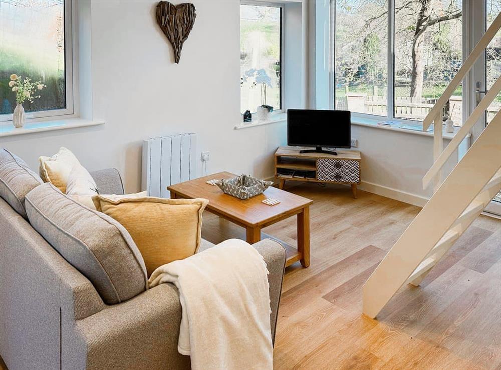 Open plan living space at Honey Bee Cottage in Groes-pluen, near Welshpool, Powys