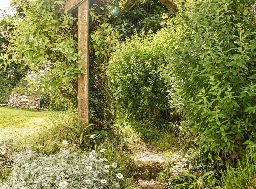 Garden and grounds (photo 5) at Honey Cottage in Tavistock, Devon