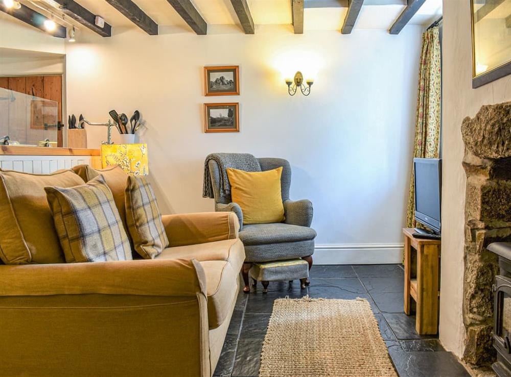 Living area (photo 2) at Honey Cottage in Tavistock, Devon
