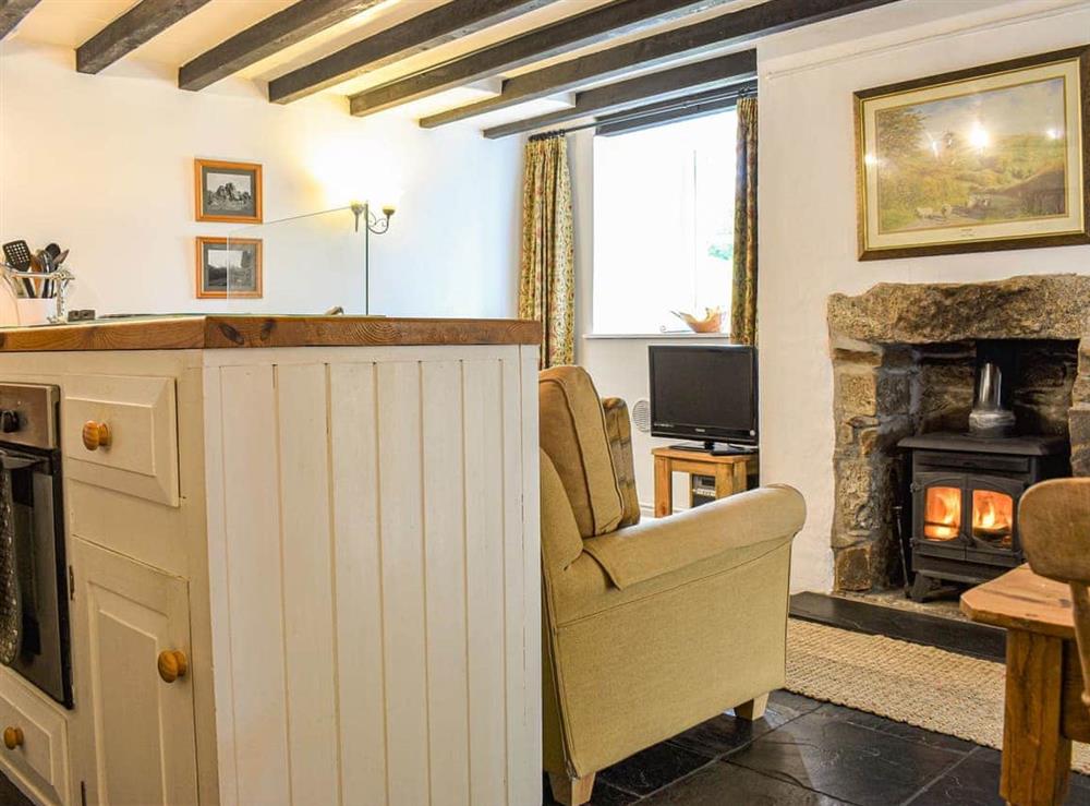 Living area at Honey Cottage in Tavistock, Devon