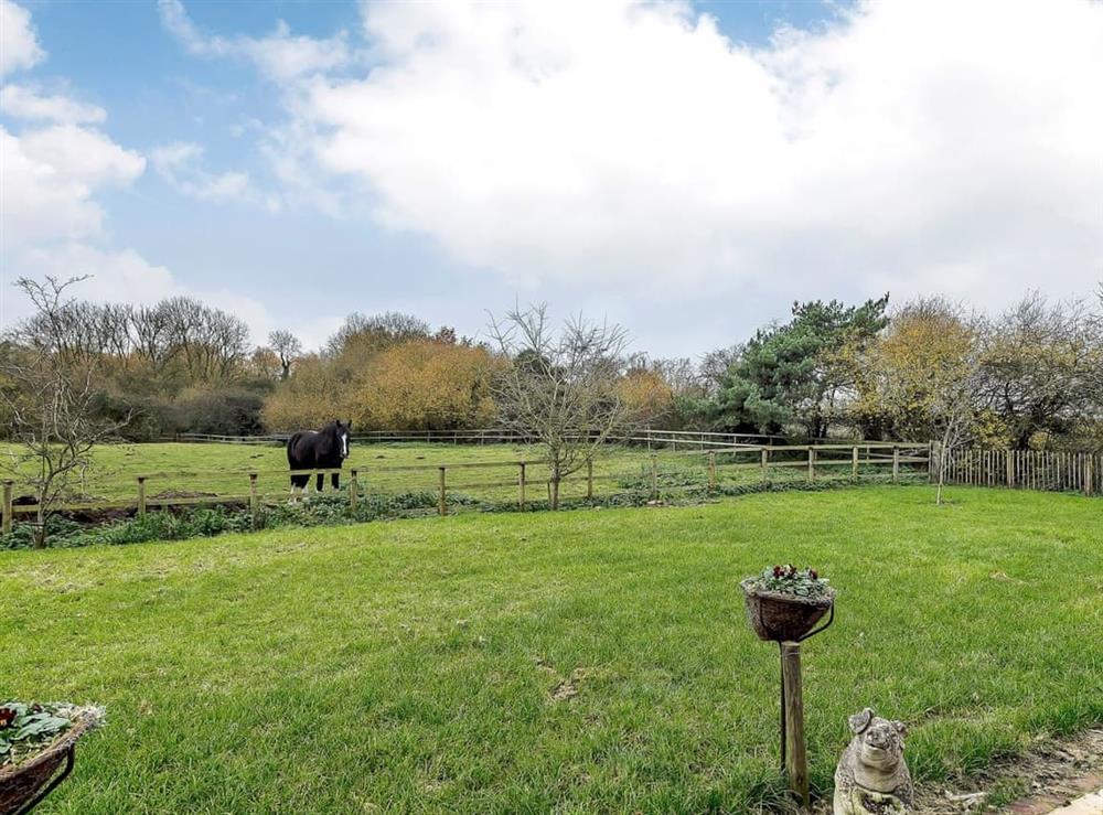 Peaceful garden area (photo 2) at Honey Potts in Foulden, near Swaffham, Norfolk