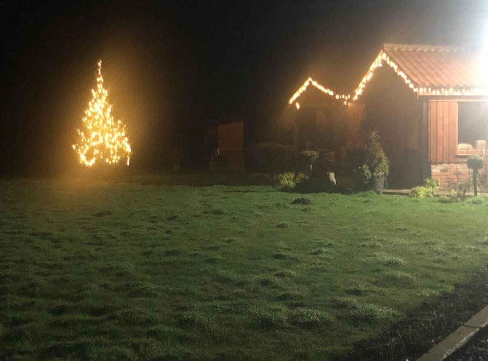 The garden at Christmas at Honey Potts in Foulden, near Swaffham, Norfolk