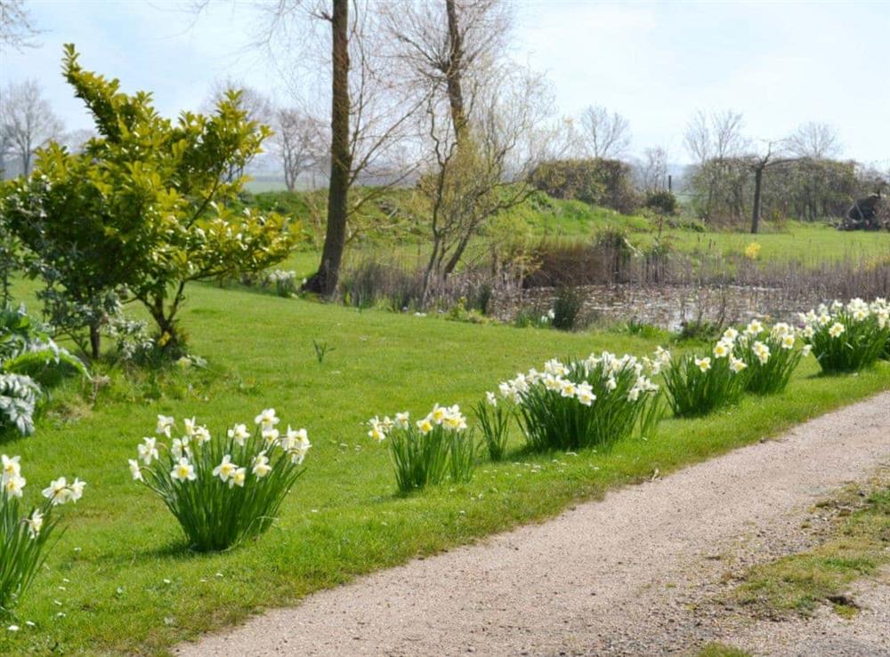 Surrounding area (photo 2) at Honeypot Cottage in Metfield, near Harleston, Suffolk