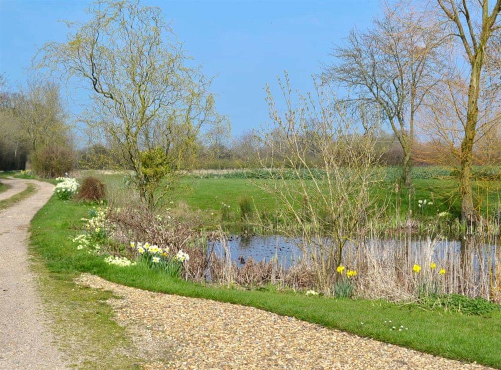 Surrounding area at Honeypot Cottage in Metfield, near Harleston, Suffolk