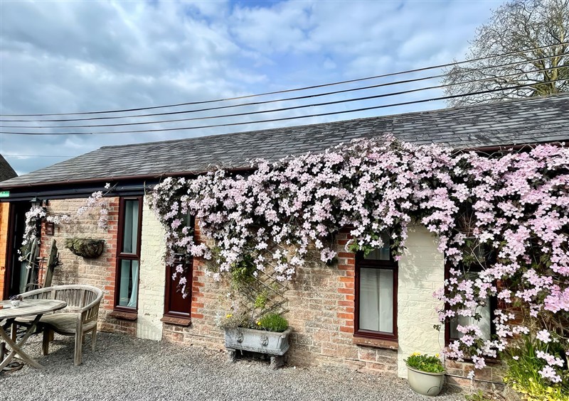 This is the setting of Honeypot Cottage at Honeypot Cottage, Whitchurch Canonicorum