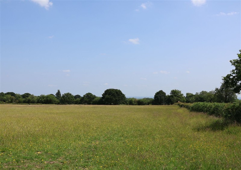 Enjoy the garden (photo 2) at Honeypot Hideaways - Clover, Higher Kinnerton