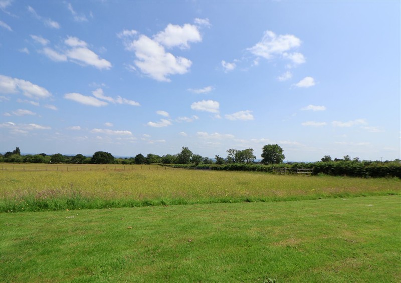 Enjoy the garden (photo 3) at Honeypot Hideaways - Clover, Higher Kinnerton