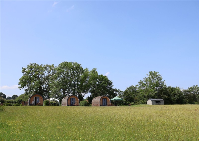 Enjoy the garden at Honeypot Hideaways - Clover, Higher Kinnerton