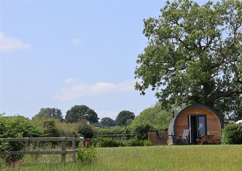 The garden in Honeypot Hideaways - Clover (photo 2) at Honeypot Hideaways - Clover, Higher Kinnerton