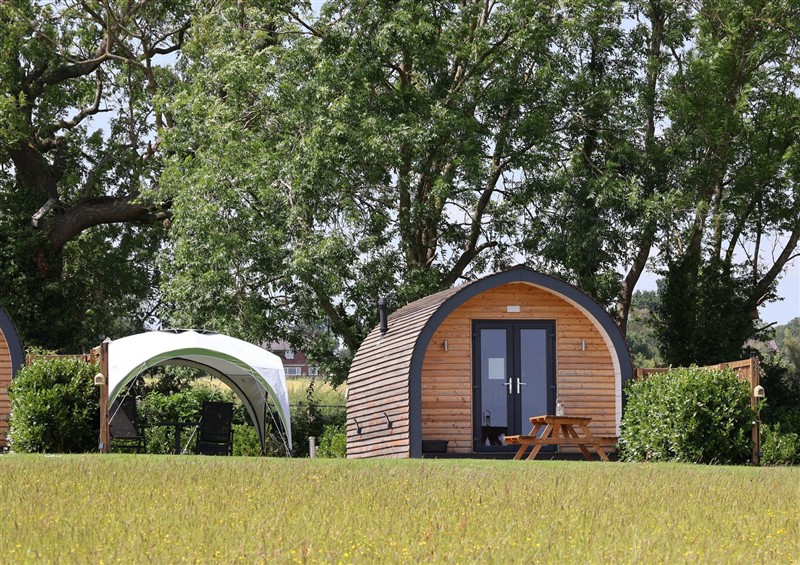 The garden at Honeypot Hideaways - Manuka, Higher Kinnerton