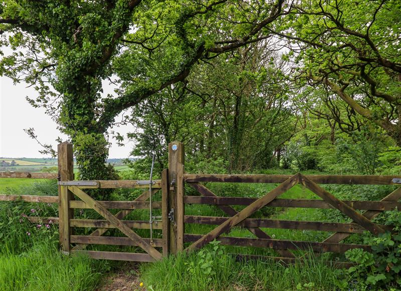 The setting around Honeysuckle at Moorhead Country Holidays