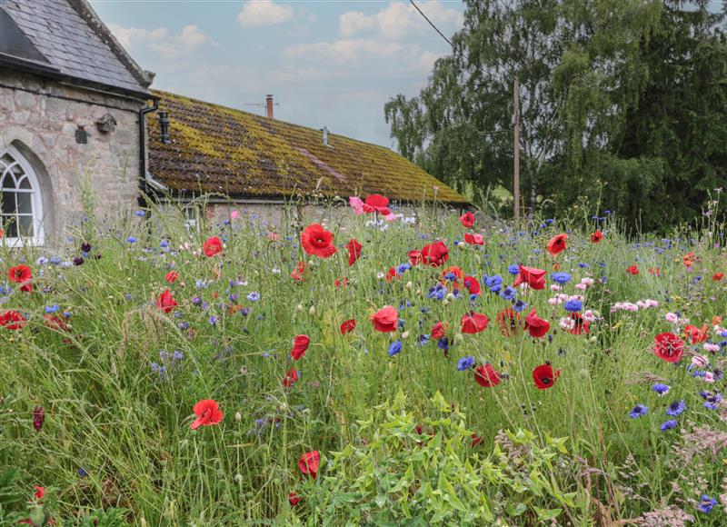 The setting of Honeysuckle Cottage