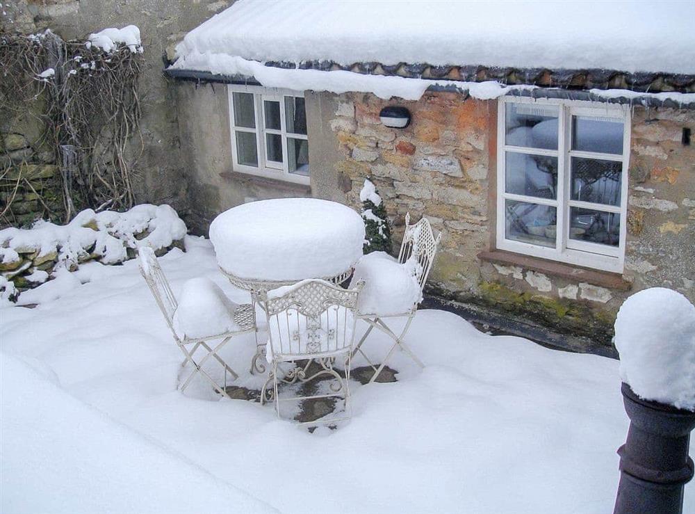 Winter garden at Honeysuckle Cottage in Helmsley, York., North Yorkshire