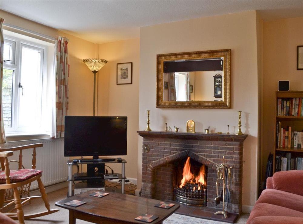 Living room with real fire at Honeysuckle Cottage in Minsterley, near Shrewsbury, Shropshire