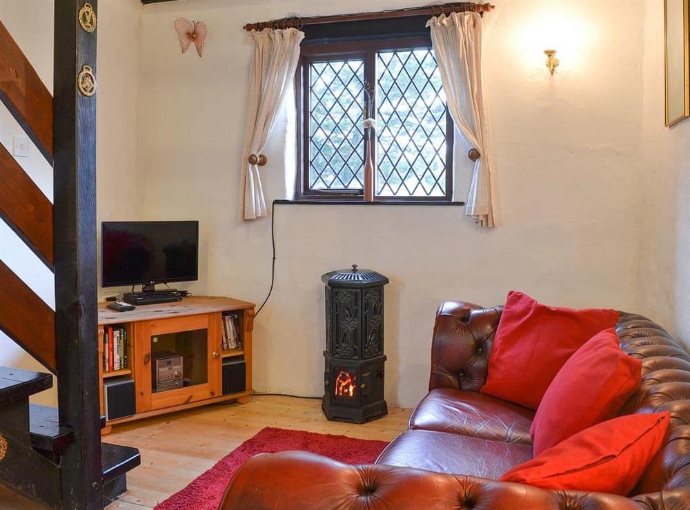 Wonderful cosy living area at Honeysuckle Cottage in Willingcott Valley, Woolacombe, Devon