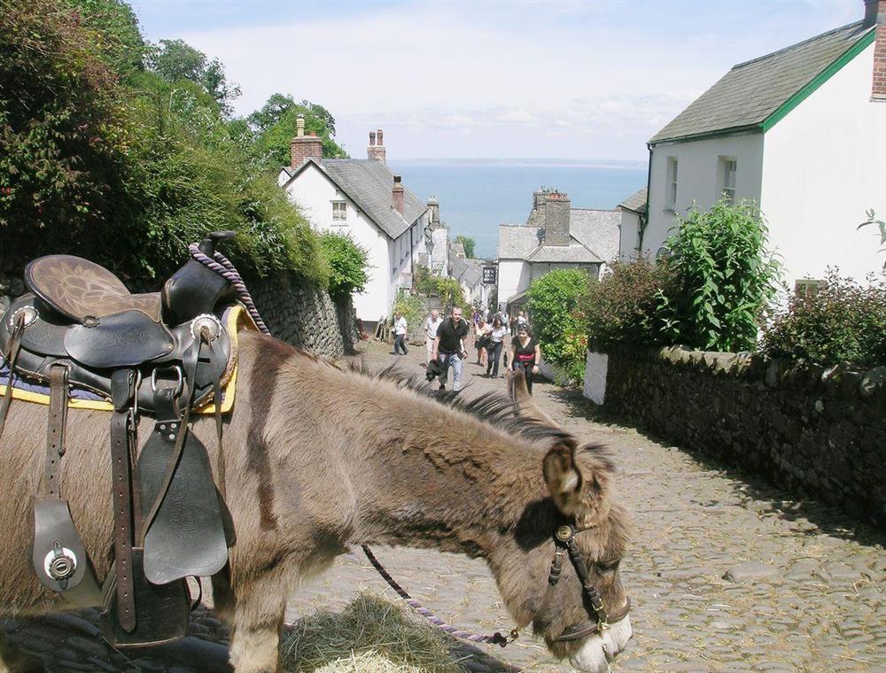 Clovelly at Honeysuckle Lodge in Woolfardisworthy, near Hartland, Devon