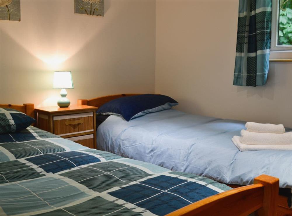 Twin bedroom at Hooked Rise Holiday Lodge in Dunkeswell, near Honiton, Devon