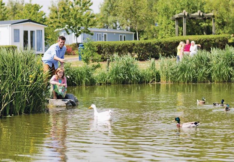 The park setting at Hopton Holiday Village in Hopton–on–Sea, Norfolk