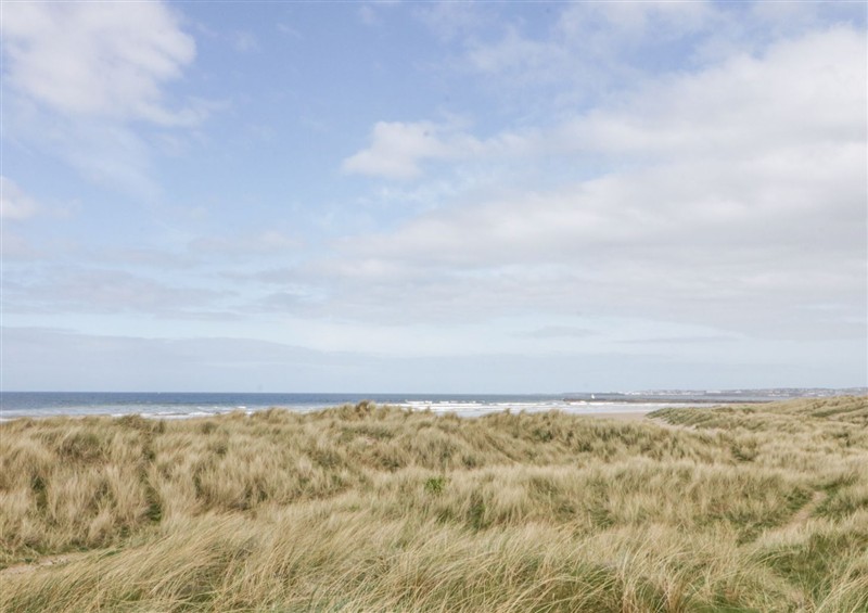 Enjoy the garden at Horizon Apartments, Castlerock