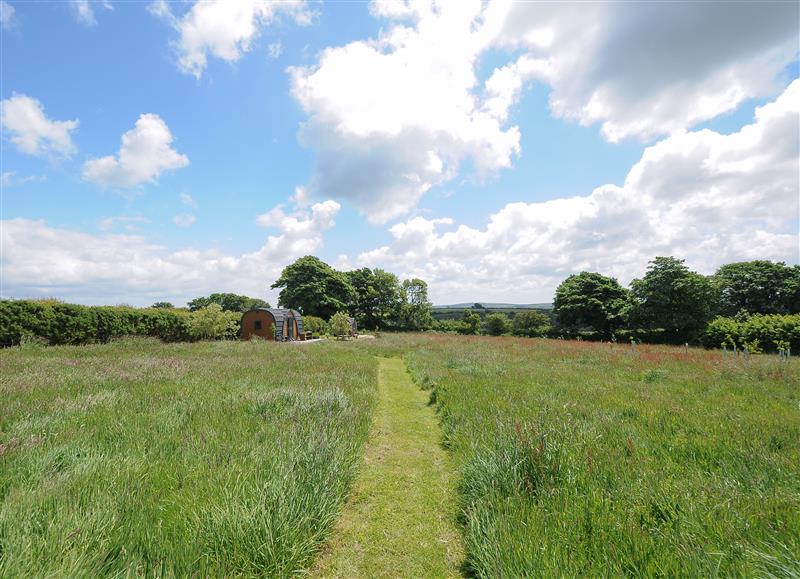 The area around Hornbeam