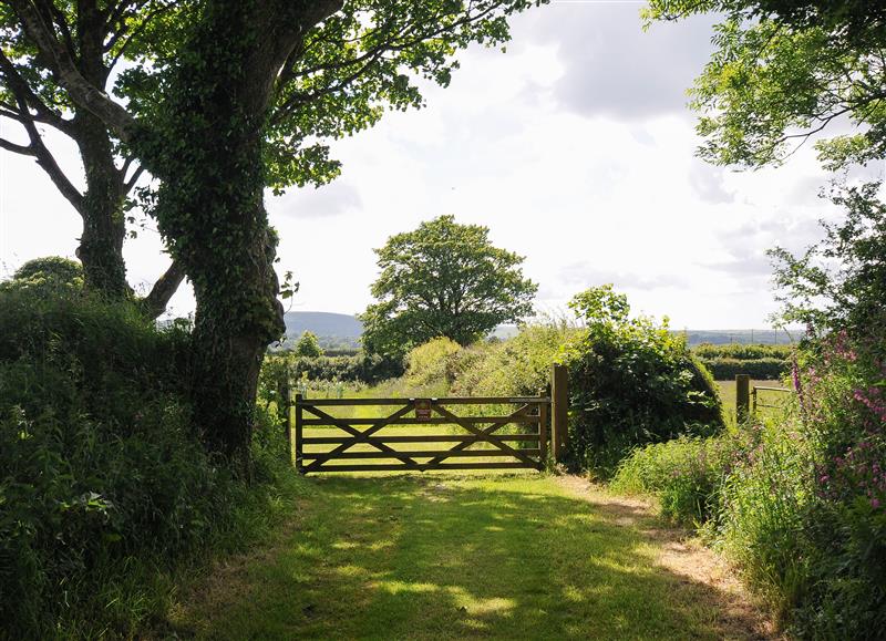 The setting of Hornbeam