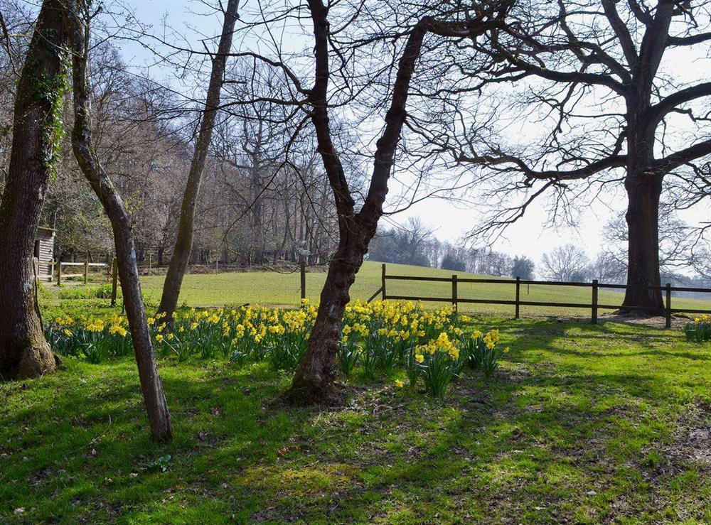 Outstanding 50-acre grounds with woodland and farmland