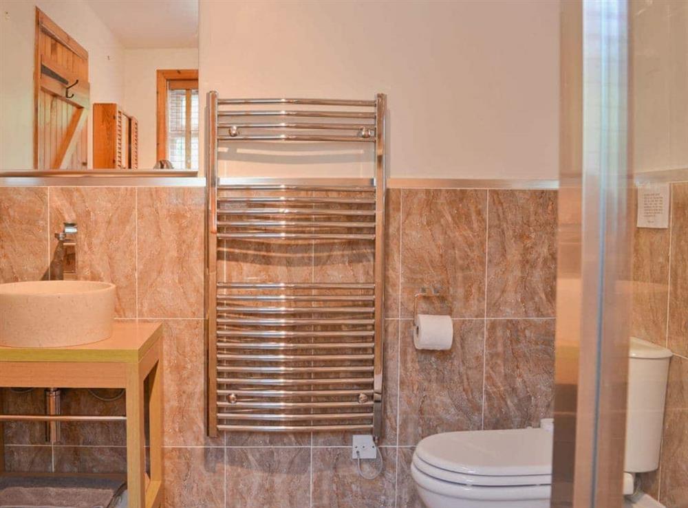 Modern en-suite shower room (photo 2) at Horsepark Cottage in Gatehouse of Fleet, Kirkcudbrightshire