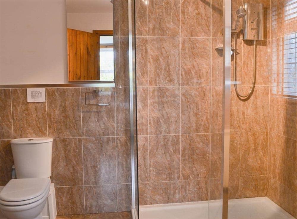 Modern en-suite shower room at Horsepark Cottage in Gatehouse of Fleet, Kirkcudbrightshire