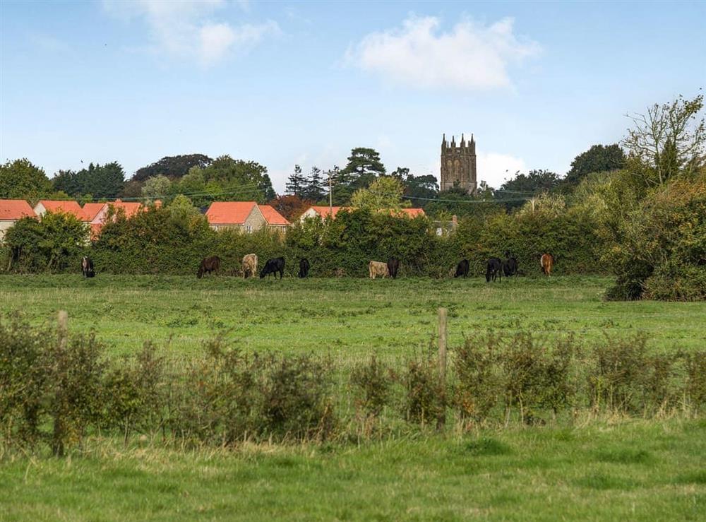 Surrounding area at Horseshoe Cottage in Lympsham, Somerset