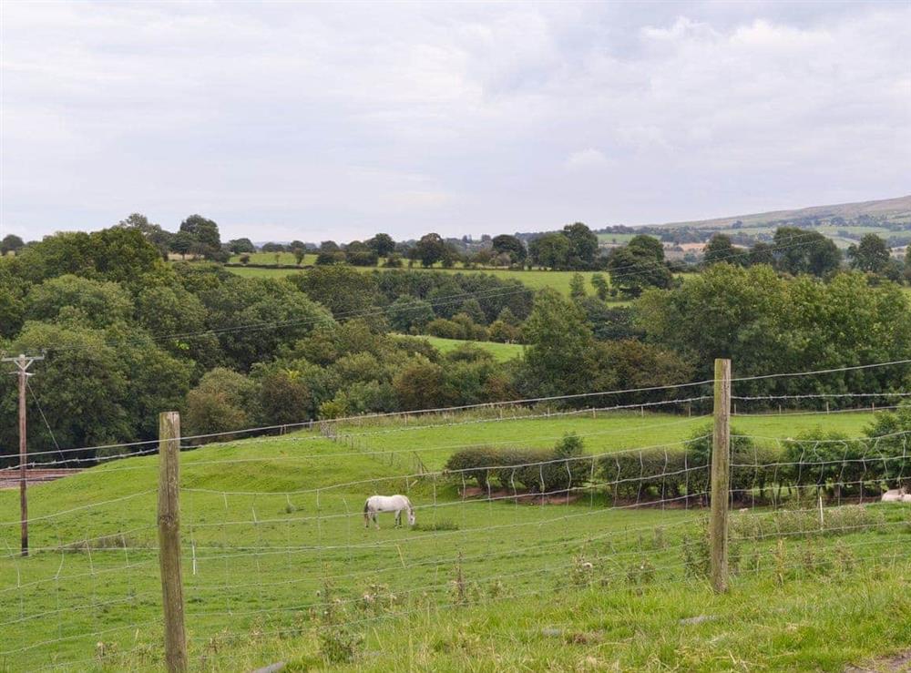 Surrounding area (photo 2) at Horseshoe Cottage in Sawley, near Clitheroe, Lancashire