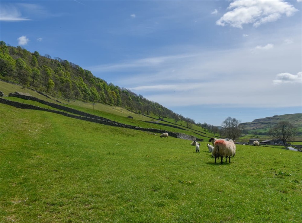 Surrounding area at Horseshoe Cottage in Starbotton, North Yorkshire