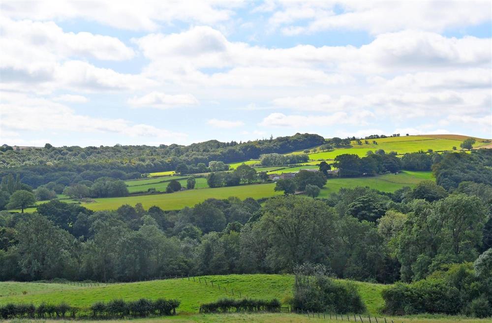 The countryside view