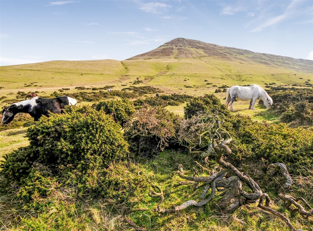 Outdoor area (photo 5) at House in the Hills in Near Hay-on-Wye, Powys