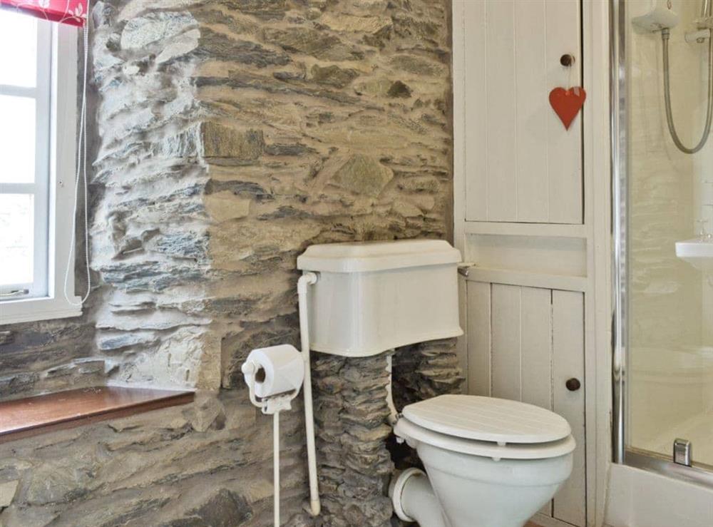 Shower room at Howe Cottage in Bowness-on-Windermere, Cumbria