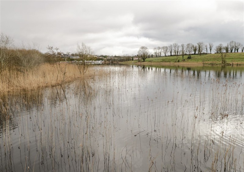 The setting around Huath at Huath, Carrick-On-Shannon