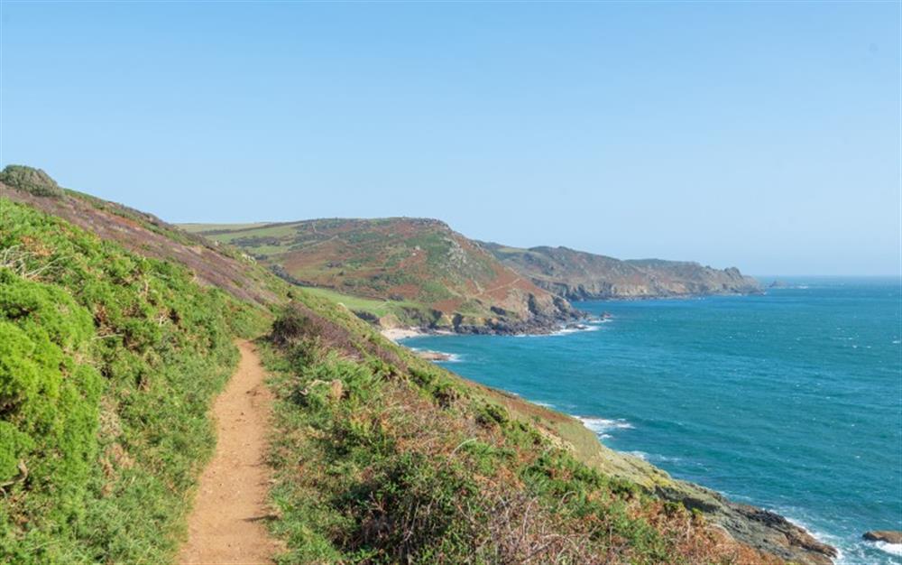 Huccombe is a fab spot to explore the South West Coast Path! What could be better at the end of coastal stomp than pizza from the pizza oven and a soak in the hot tub! at Huccombe Farmhouse in Beesands