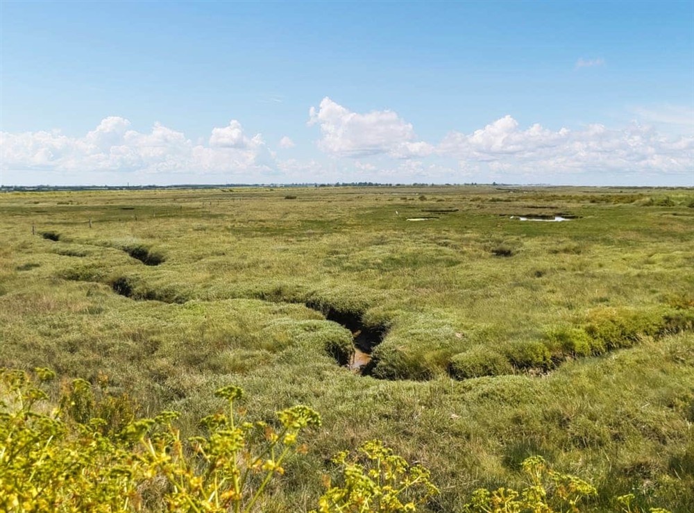 Surrounding area at Humperdink in St Osyth, near Clacton on Sea, Essex
