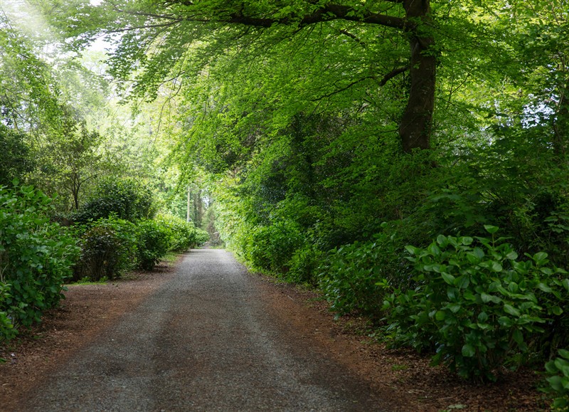 Rural landscape