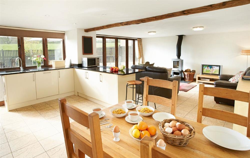 Large open-plan kitchen/dining and sitting room with wood burning stove at Hunters Moon, Feniton