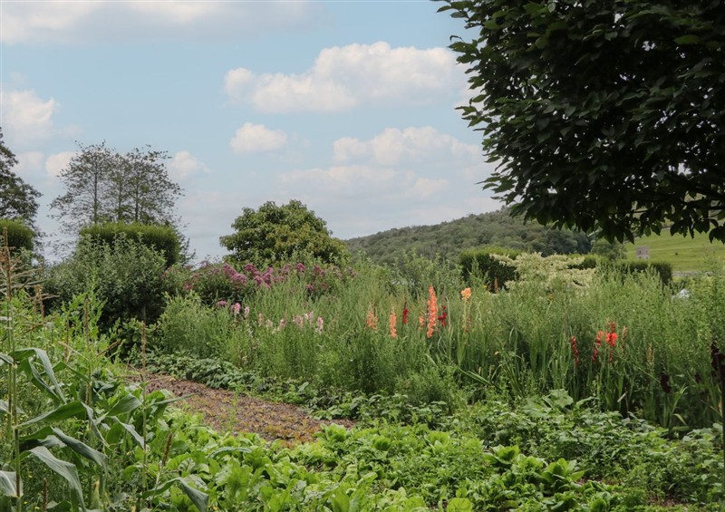 This is the garden (photo 4) at Huntsmans Cottage, Cartmel