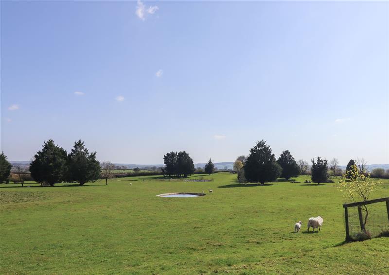 Rural landscape at Hurdwick Lodge, Tavistock