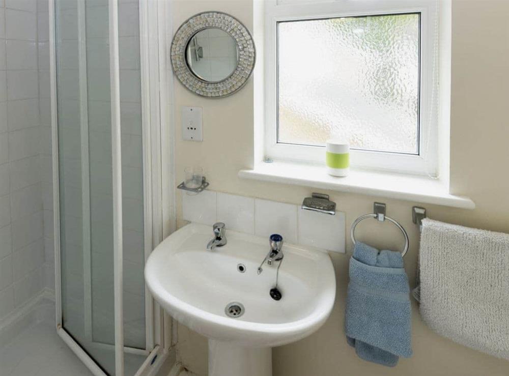 En-suite shower room (photo 2) at Hydan Cottage in Wootton Bridge, Isle Of Wight