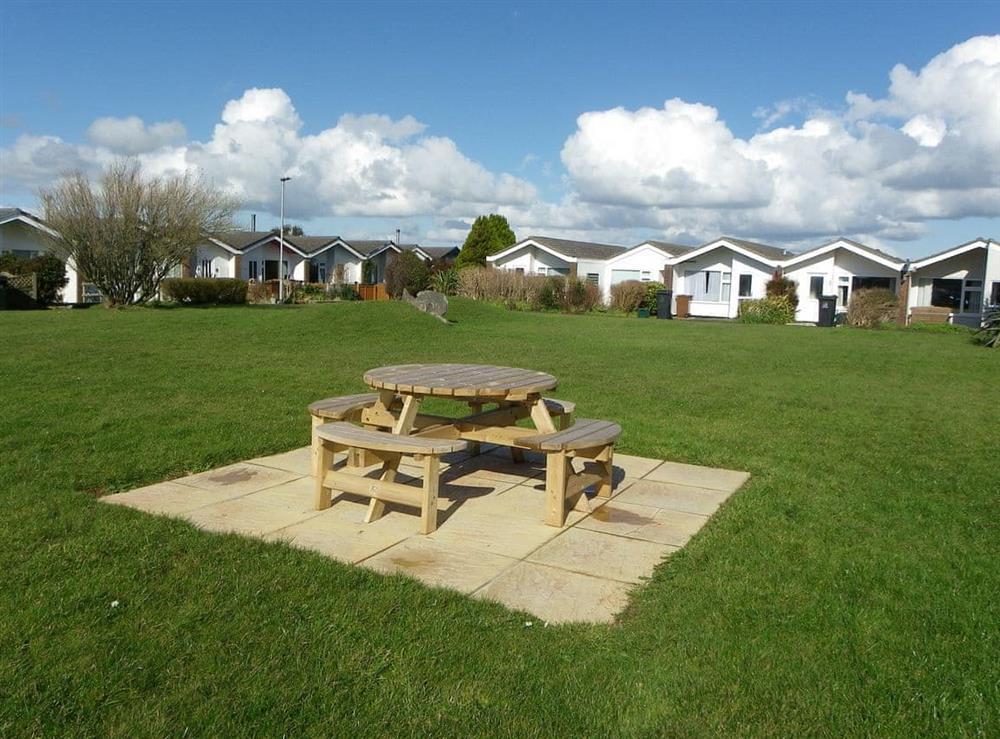 Picnic table adjacent to Hydrangeas at Hydrangeas in Kingsbridge, Devon