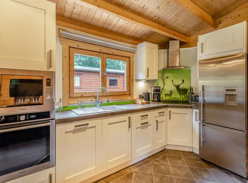 Kitchen area at Ilodge 73 in Kenwick Park, near Louth, Lincolnshire