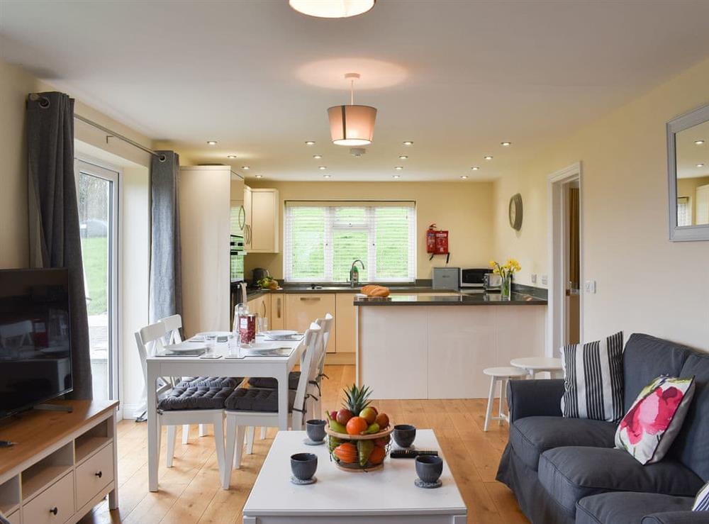 Open plan living space (photo 2) at Ilsington View, near Ashburton in Ilsington, Devon