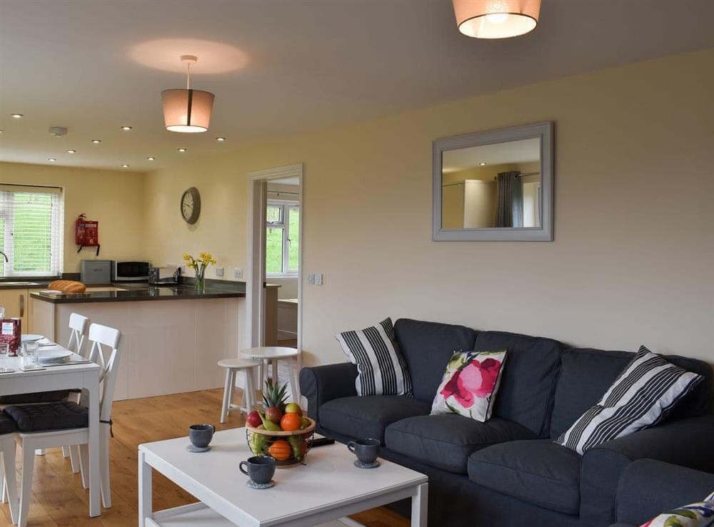 Open plan living space at Ilsington View, near Ashburton in Ilsington, Devon