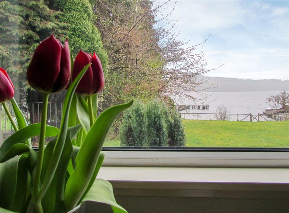 View at Balmaha Apartment,