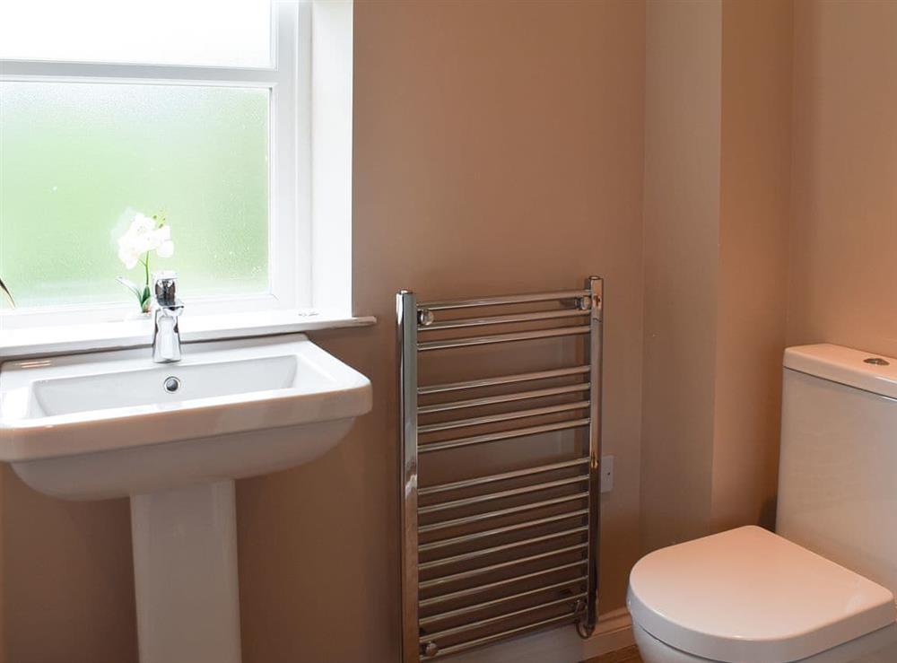 En-suite at Inchrie Holiday Cottages- Forth View in Aberfoyle, Stirlingshire