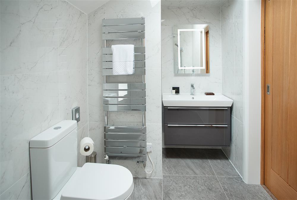 En-suite wet room at Independent Apartment, Netherby Hall, Longtown