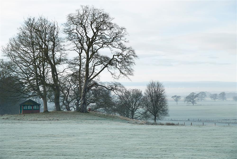 Misty view across the 36 acres of parkland at Independent Apartment, Netherby Hall, Longtown